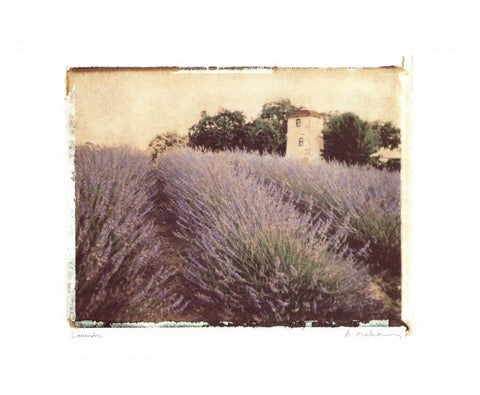 Lavender Black Ornate Wood Framed Art Print with Double Matting by Melious, Amy