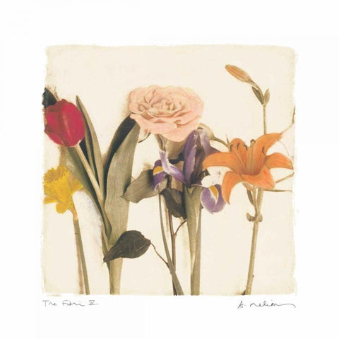 Tre Fiori IV Gold Ornate Wood Framed Art Print with Double Matting by Melious, Amy