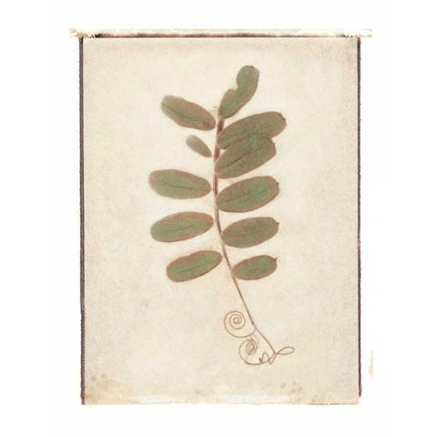 Tendril Black Modern Wood Framed Art Print with Double Matting by Melious, Amy