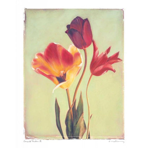 Concerto Verde II Black Modern Wood Framed Art Print with Double Matting by Melious, Amy