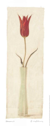 Blossom I White Modern Wood Framed Art Print with Double Matting by Melious, Amy