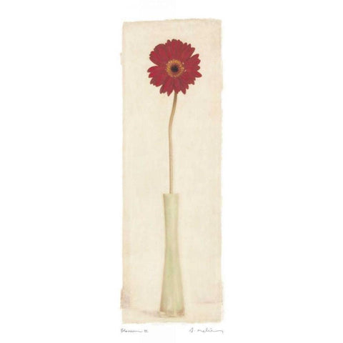 Blossom II White Modern Wood Framed Art Print by Melious, Amy