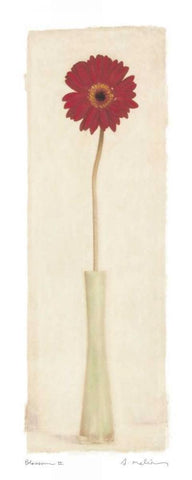 Blossom II White Modern Wood Framed Art Print with Double Matting by Melious, Amy