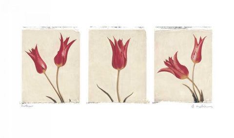 Sisters Black Ornate Wood Framed Art Print with Double Matting by Melious, Amy