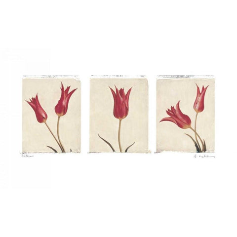 Sisters Black Modern Wood Framed Art Print with Double Matting by Melious, Amy