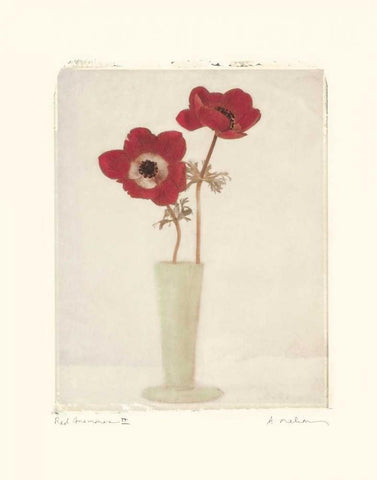 Red Anemones II White Modern Wood Framed Art Print with Double Matting by Melious, Amy