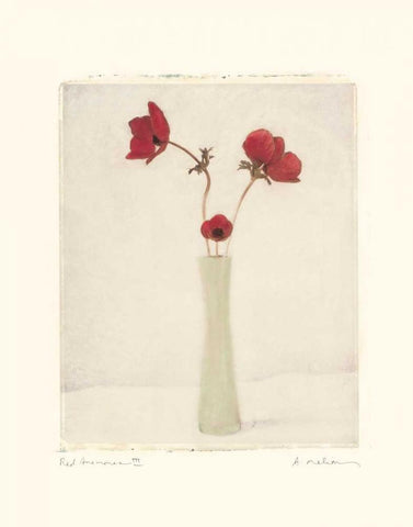 Red Anemones III White Modern Wood Framed Art Print with Double Matting by Melious, Amy