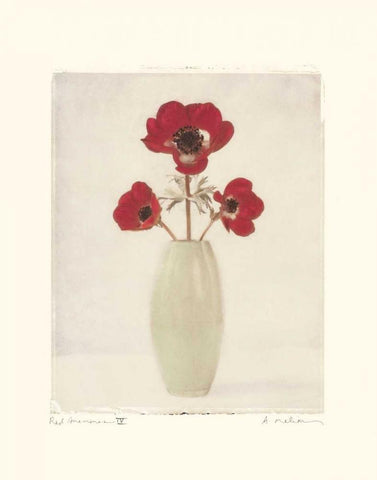 Red Anemones IV Black Ornate Wood Framed Art Print with Double Matting by Melious, Amy