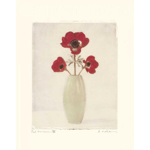Red Anemones IV White Modern Wood Framed Art Print by Melious, Amy