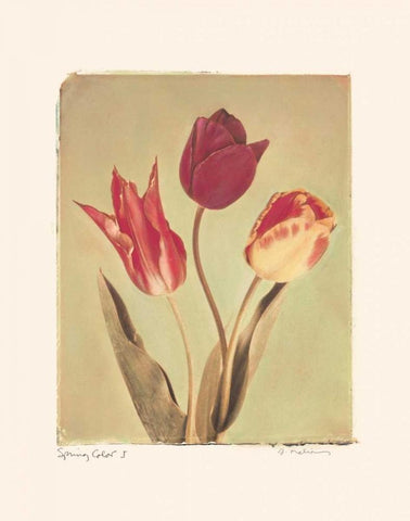 Spring Color I Black Ornate Wood Framed Art Print with Double Matting by Melious, Amy