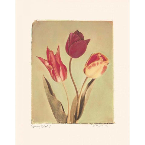 Spring Color I Black Modern Wood Framed Art Print with Double Matting by Melious, Amy
