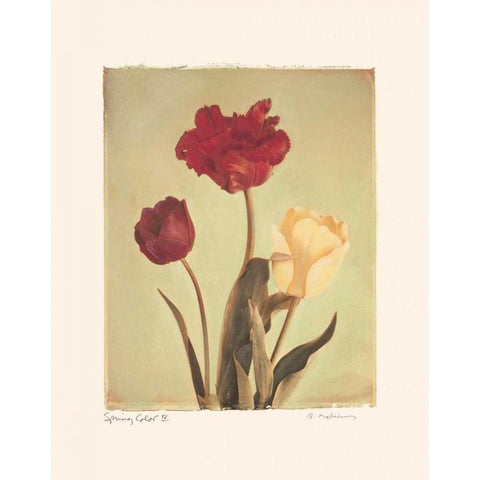 Spring Color IV Gold Ornate Wood Framed Art Print with Double Matting by Melious, Amy