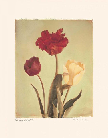 Spring Color IV White Modern Wood Framed Art Print with Double Matting by Melious, Amy