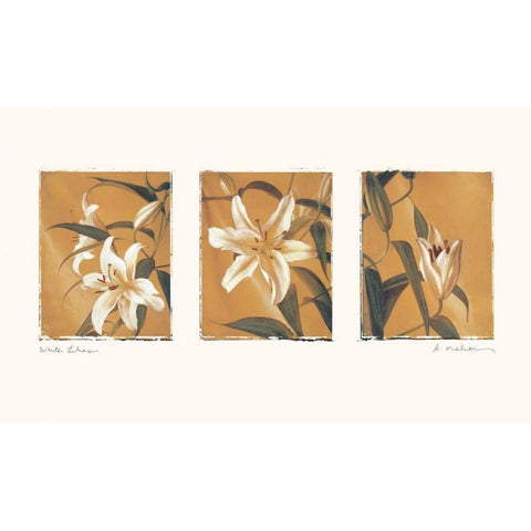 White Lilies Gold Ornate Wood Framed Art Print with Double Matting by Melious, Amy