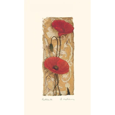 Rustica II Black Modern Wood Framed Art Print with Double Matting by Melious, Amy