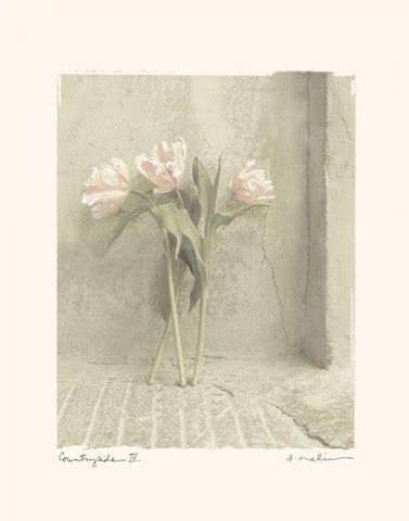 Countryside IV White Modern Wood Framed Art Print with Double Matting by Melious, Amy