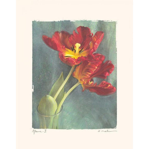 Aflame I White Modern Wood Framed Art Print by Melious, Amy