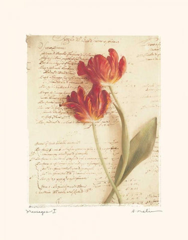 Messages I Black Ornate Wood Framed Art Print with Double Matting by Melious, Amy