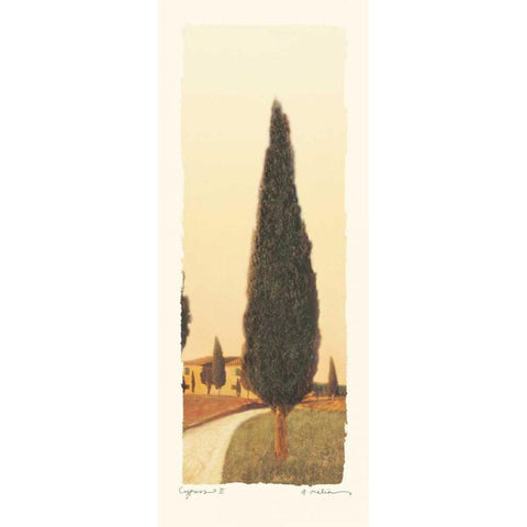 Cypress II White Modern Wood Framed Art Print by Melious, Amy