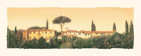 Bella Sera II Black Ornate Wood Framed Art Print with Double Matting by Melious, Amy