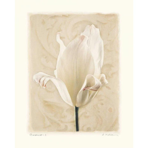 Chiaroscuro I White Modern Wood Framed Art Print by Melious, Amy