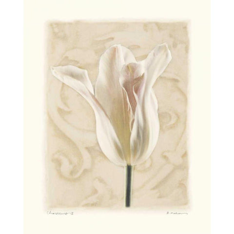 Chiaroscuro II White Modern Wood Framed Art Print by Melious, Amy