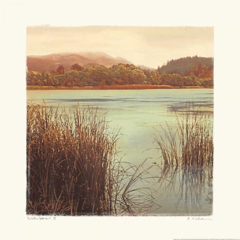 Water Colors II Gold Ornate Wood Framed Art Print with Double Matting by Melious, Amy