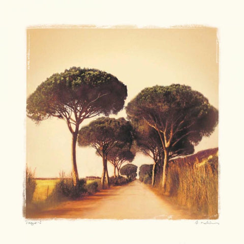 Viaggio I Black Modern Wood Framed Art Print by Melious, Amy