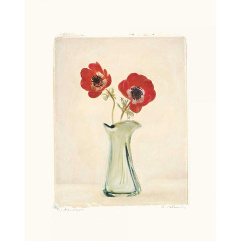 Two Anemones Black Modern Wood Framed Art Print with Double Matting by Melious, Amy