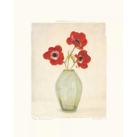 Three Anemones Gold Ornate Wood Framed Art Print with Double Matting by Melious, Amy