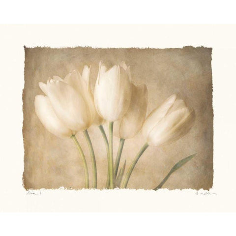 Aria I Gold Ornate Wood Framed Art Print with Double Matting by Melious, Amy