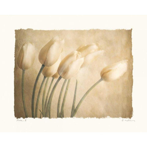 Aria II Black Modern Wood Framed Art Print by Melious, Amy