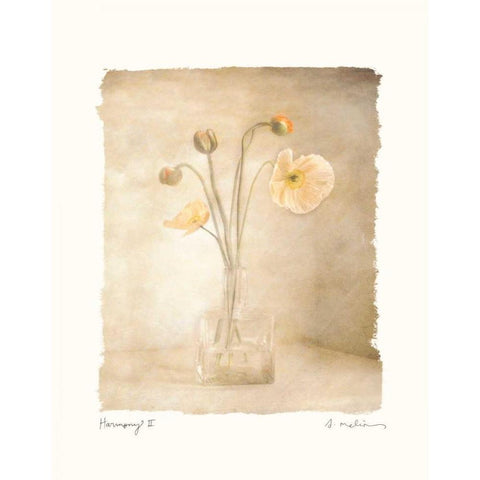 Harmony II Black Modern Wood Framed Art Print with Double Matting by Melious, Amy