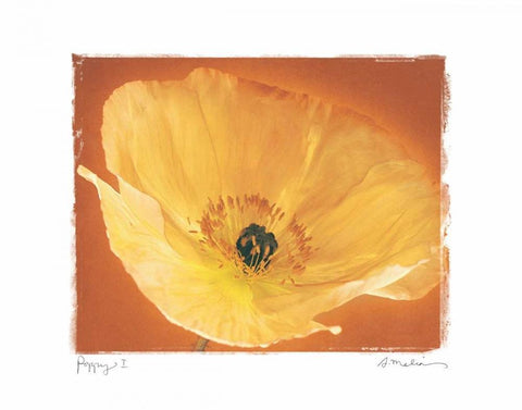 Poppy I White Modern Wood Framed Art Print with Double Matting by Melious, Amy