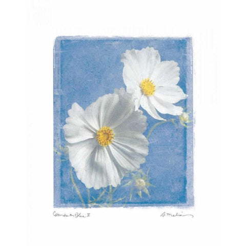 Cosmos on Blue II Gold Ornate Wood Framed Art Print with Double Matting by Melious, Amy