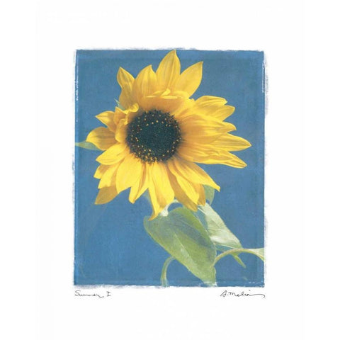 Summer I Gold Ornate Wood Framed Art Print with Double Matting by Melious, Amy