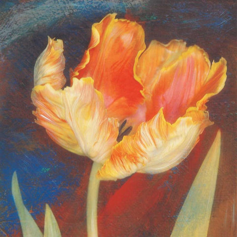 Dusk Tulip I Gold Ornate Wood Framed Art Print with Double Matting by Melious, Amy