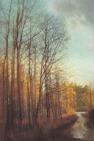 Winter Light I White Modern Wood Framed Art Print with Double Matting by Melious, Amy