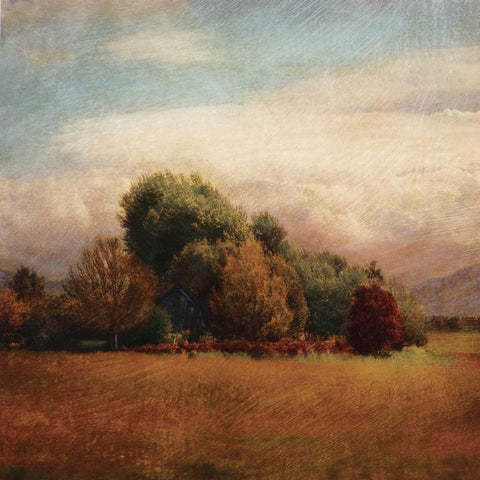 Autumn Horizon I Gold Ornate Wood Framed Art Print with Double Matting by Melious, Amy