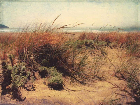 Sand Dunes I White Modern Wood Framed Art Print with Double Matting by Melious, Amy