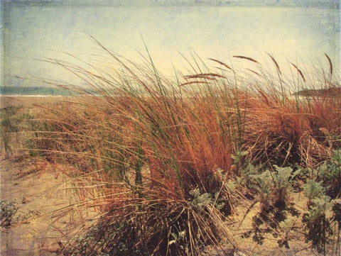 Sand Dunes II Black Ornate Wood Framed Art Print with Double Matting by Melious, Amy