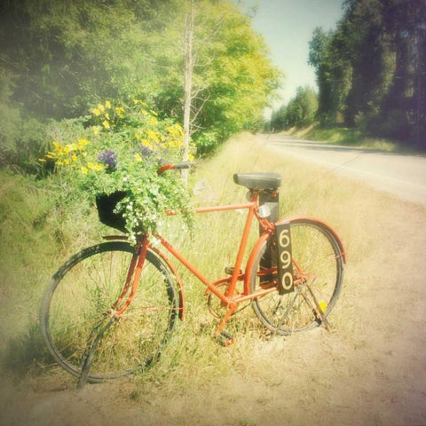 Fun White Modern Wood Framed Art Print with Double Matting by Melious, Amy