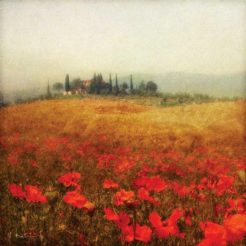 Tuscan Poppies Gold Ornate Wood Framed Art Print with Double Matting by Melious, Amy