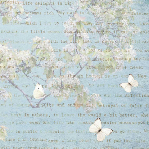 Morning Blossoms I White Modern Wood Framed Art Print with Double Matting by Melious, Amy