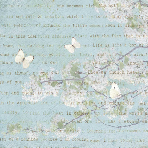 Morning Blossoms II White Modern Wood Framed Art Print with Double Matting by Melious, Amy