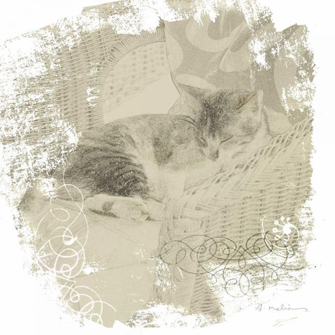 Feline Illustration I Black Ornate Wood Framed Art Print with Double Matting by Melious, Amy