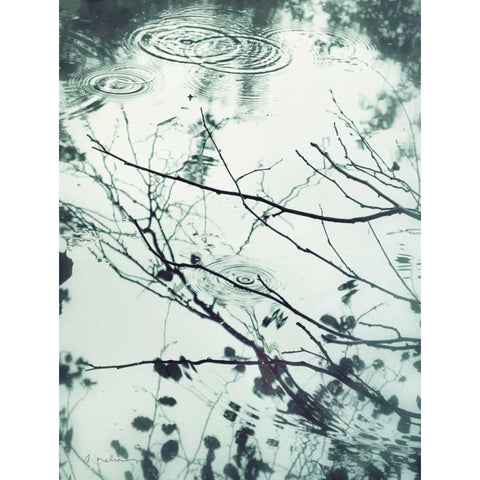 Ripples of the Rain I White Modern Wood Framed Art Print by Melious, Amy