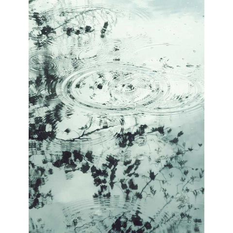 Ripples of the Rain II Gold Ornate Wood Framed Art Print with Double Matting by Melious, Amy