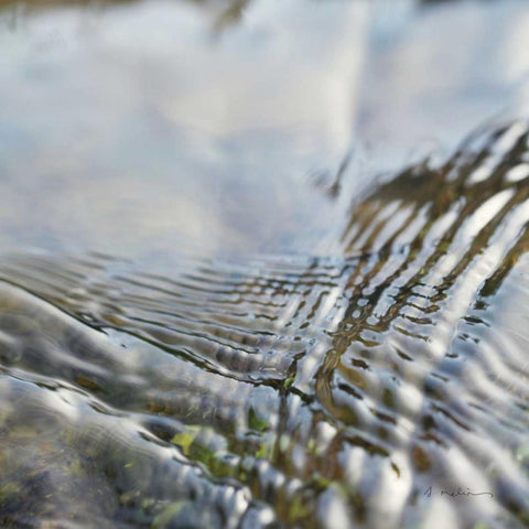 Current I Gold Ornate Wood Framed Art Print with Double Matting by Melious, Amy