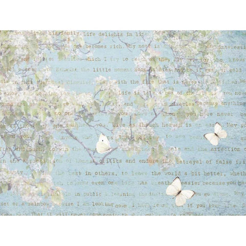 Blossoms and Butterflies I White Modern Wood Framed Art Print by Melious, Amy